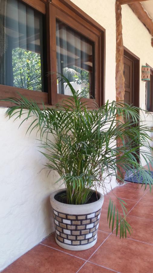 Moon Dreams Yum Balam Hotel Isla Holbox Exterior photo