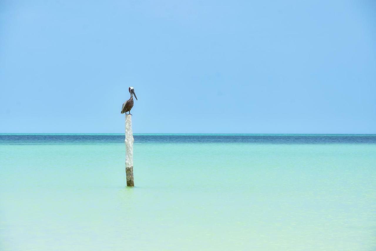 Moon Dreams Yum Balam Hotel Isla Holbox Exterior photo